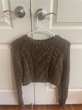 Express Cropped Cable-Knit Crew Sweater in Brown